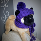 Purple Durple Dog Hat & Scarf